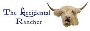 The Accidental Rancher